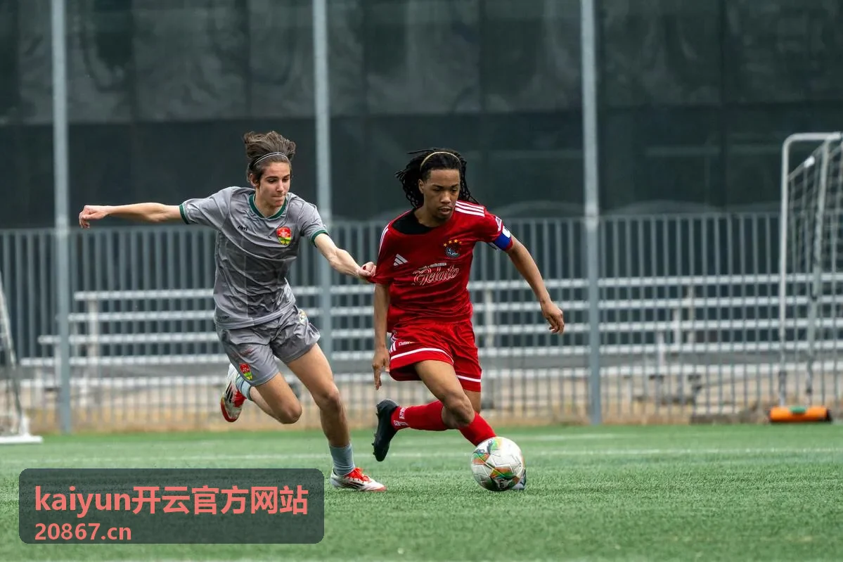 开云官方公告阅读方法片段封面
